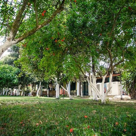 Agriturismo Archelao オリスターノ エクステリア 写真